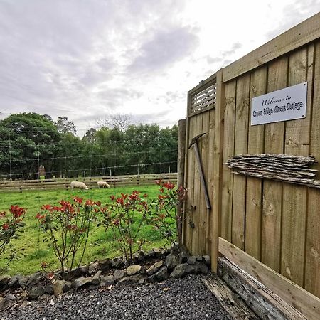 Crown Ridge Miners Cottage Karangahake Luaran gambar