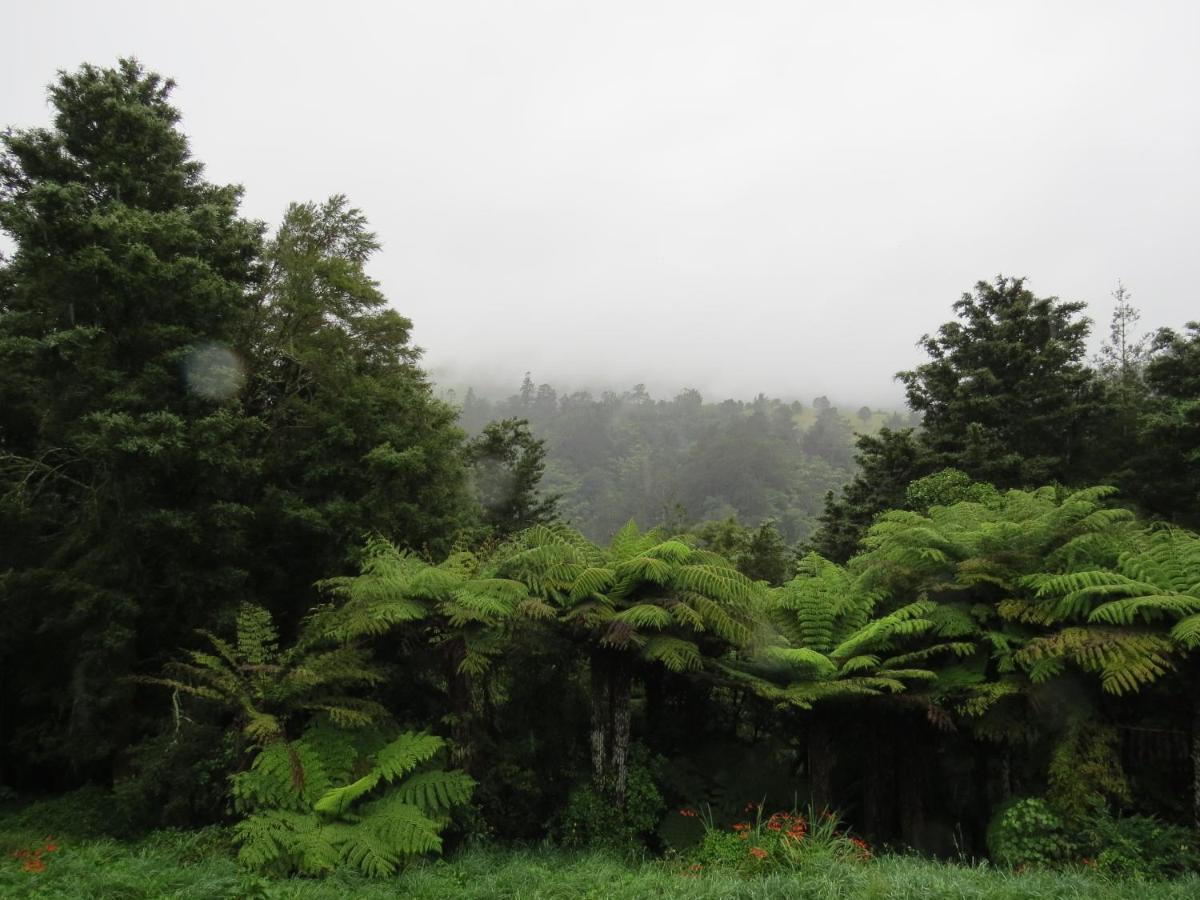Crown Ridge Miners Cottage Karangahake Luaran gambar