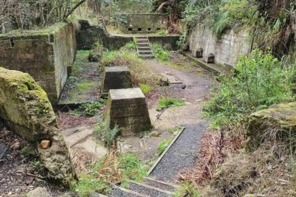 Crown Ridge Miners Cottage Karangahake Luaran gambar